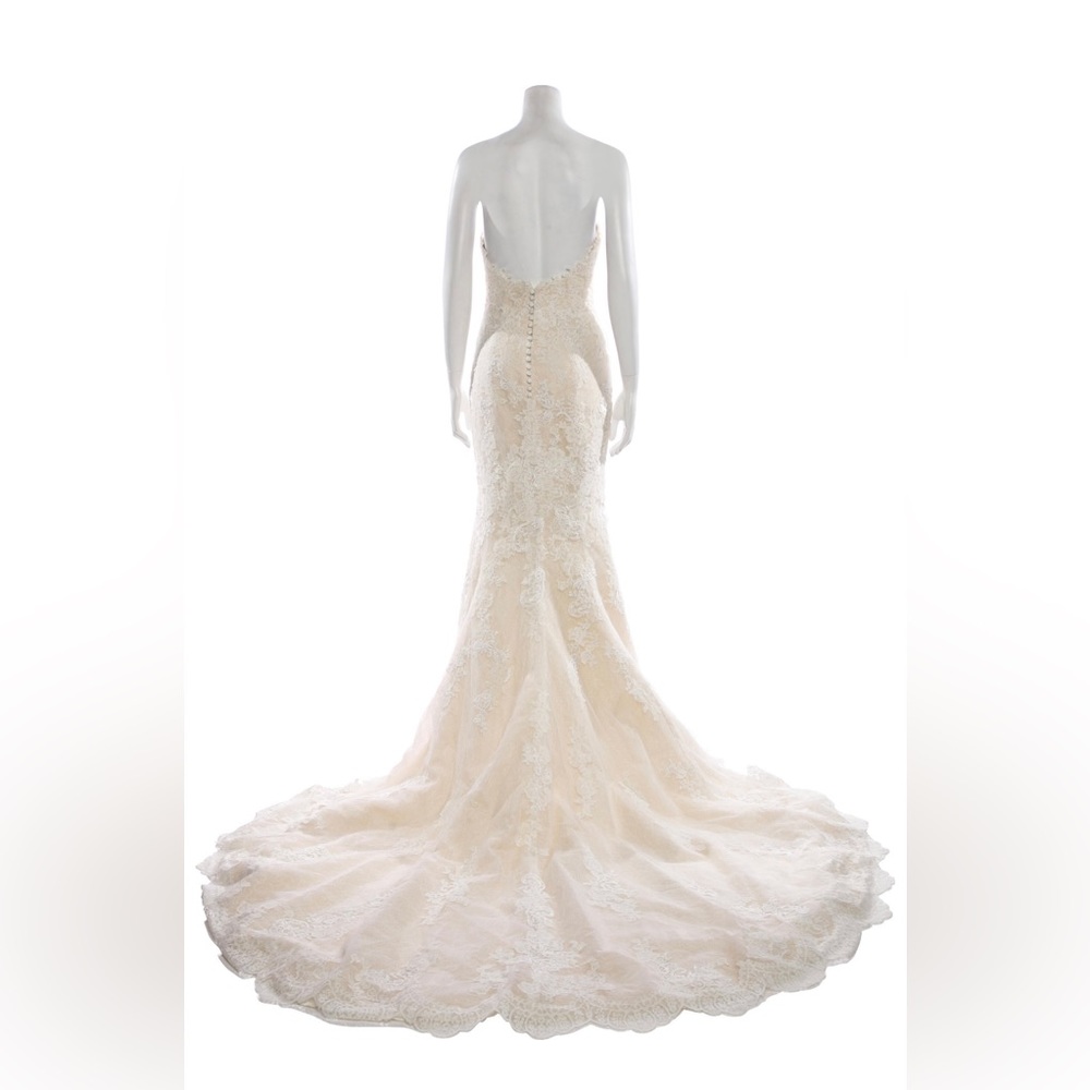 Pronovias Lace Wedding Dress